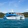 Dolphin Cruise with Tangalooma Wreck Snorkel Tour - Brisbane City Transfer
