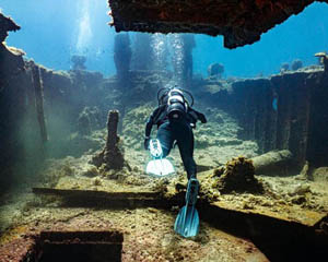 MV Lena Dive Wreck Experience, 5 Hours - Bunbury - Adrenaline