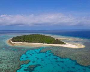 Lady Musgrave Island Cruise and Day Tour - Adrenaline