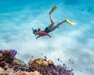 Ningaloo Reef Snorkel Adventure, Full Day - Exmouth - Adrenaline