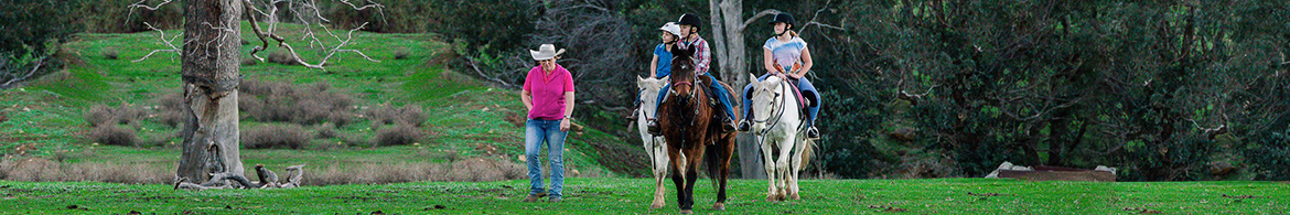 Horse Riding in Perth