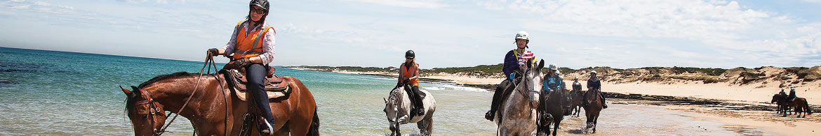 Hunter Valley Horse Riding