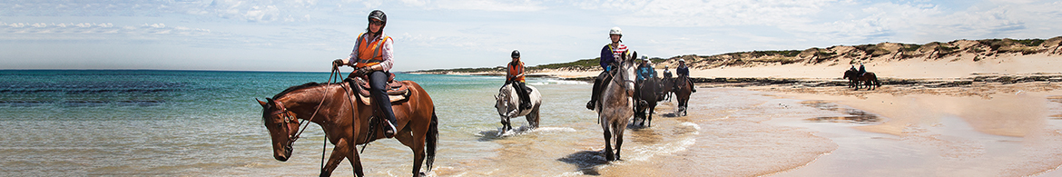 Horse Riding in Melbourne